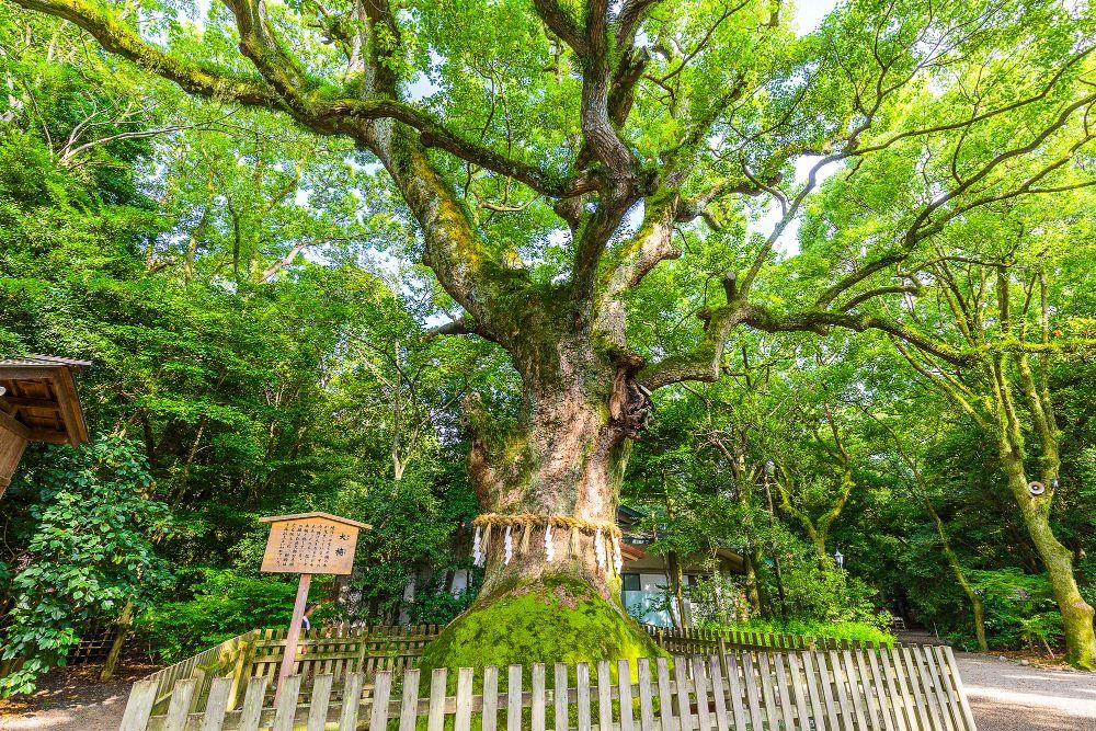 名古屋周辺で人形供養を行っている神社仏閣