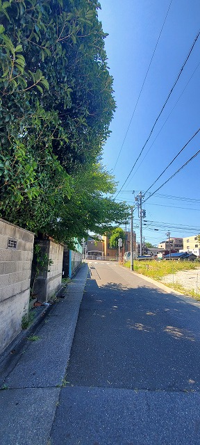 作業前画像 奥の枝木かなり道路側にはみ出している